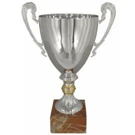 Кубок с надписью на заказ 3027E (5) в интернет-магазине kubki-olimp.ru и cup-olimp.ru Фото 0