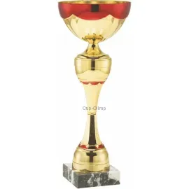 Заказать кубок с надписью в и cup-olimp.ru ET.063.68.D недорого в интернет-магазине kubki-olimp.ru и cup-olimp.ru Фото 0