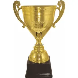 Кубки награды спортивные РОССИЯ B (2) в интернет-магазине kubki-olimp.ru и cup-olimp.ru Фото 0