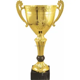Кубок призовой РУС1102 F (6) в интернет-магазине kubki-olimp.ru и cup-olimp.ru Фото 0