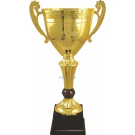 Кубок с надписью на заказ РУС1104 F (6) в интернет-магазине kubki-olimp.ru и cup-olimp.ru Фото 0