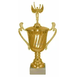 Купить кубок для награждения P141B-G (2) в интернет-магазине kubki-olimp.ru и cup-olimp.ru Фото 0