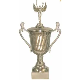 Купить кубок для награждения P141B-S (2) в интернет-магазине kubki-olimp.ru и cup-olimp.ru Фото 0