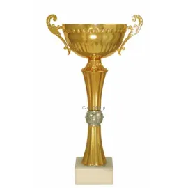 Кубок призовой 8089B (2) в интернет-магазине kubki-olimp.ru и cup-olimp.ru Фото 0
