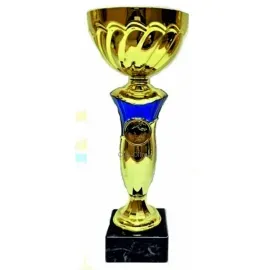 Кубок с надписью на заказ наградной K536C в интернет-магазине kubki-olimp.ru и cup-olimp.ru Фото 0