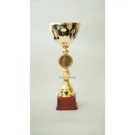 Заказать кубок с надписью AN231 C в интернет-магазине kubki-olimp.ru и cup-olimp.ru Фото 0