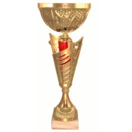 Кубок с надписью на заказ 4141D (4) в интернет-магазине kubki-olimp.ru и cup-olimp.ru Фото 0