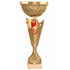 Кубок с надписью на заказ 4141B (2) в интернет-магазине kubki-olimp.ru и cup-olimp.ru Фото 0