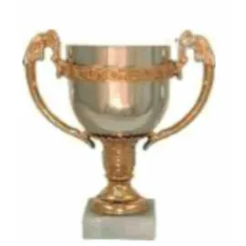 Кубок первое место P196C-S(3) без крышки в интернет-магазине kubki-olimp.ru и cup-olimp.ru Фото 0
