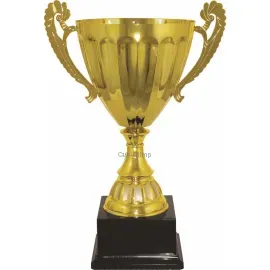 Сувенирный кубок 3013E (5) в интернет-магазине kubki-olimp.ru и cup-olimp.ru Фото 0