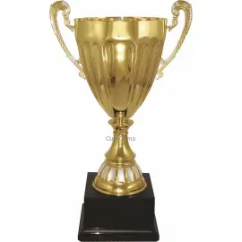 Заказать кубок с гравировкой 3031A (1) в интернет-магазине kubki-olimp.ru и cup-olimp.ru Фото 0