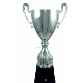 Кубок престижный 3067E (5) в интернет-магазине kubki-olimp.ru и cup-olimp.ru Фото 0