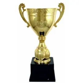 Заказать кубок с надписью РУС1109H (8) в интернет-магазине kubki-olimp.ru и cup-olimp.ru Фото 0