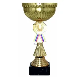 Бюджетный  Кубок 9120B (2) в интернет-магазине kubki-olimp.ru и cup-olimp.ru Фото 0