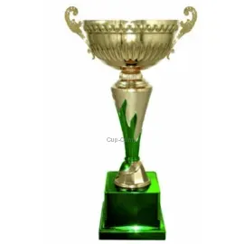 Надпись на кубке 4122E (5) в интернет-магазине kubki-olimp.ru и cup-olimp.ru Фото 0