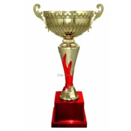 Кубок с гравировкой на заказ и cup-olimp.ru Кубок 4124E (5) в интернет-магазине kubki-olimp.ru и cup-olimp.ru Фото 0