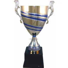 Купить кубок с надписью 1020E (5) в интернет-магазине kubki-olimp.ru и cup-olimp.ru Фото 0