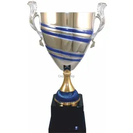 Заказать кубок с гравировкой 1021C (3) в интернет-магазине kubki-olimp.ru и cup-olimp.ru Фото 0