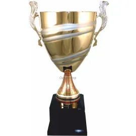 Надпись на кубке победителя соревнований 1023E (5) в интернет-магазине kubki-olimp.ru и cup-olimp.ru Фото 0