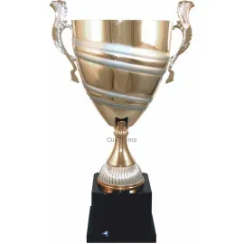 Подарочный кубок 1024 в интернет-магазине kubki-olimp.ru и cup-olimp.ru Фото 2