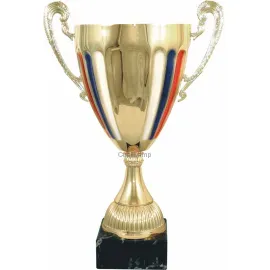 Сувенирный кубок 3072D (4) в интернет-магазине kubki-olimp.ru и cup-olimp.ru Фото 0