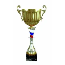 Купить спортивный кубок 3089D (4) в интернет-магазине kubki-olimp.ru и cup-olimp.ru Фото 0
