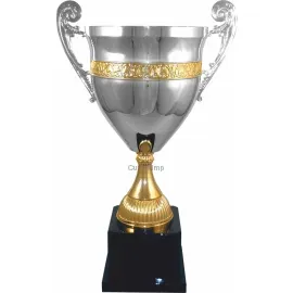 Купить кубок с надписью 1008E (5) в интернет-магазине kubki-olimp.ru и cup-olimp.ru Фото 0