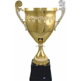 Заказать кубок с надписью 1009A (1) в интернет-магазине kubki-olimp.ru и cup-olimp.ru Фото 0