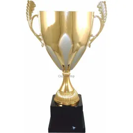 Надпись на кубке 1011E (5) в интернет-магазине kubki-olimp.ru и cup-olimp.ru Фото 0