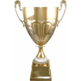 Купить кубок с надписью 1028B (2) в интернет-магазине kubki-olimp.ru и cup-olimp.ru Фото 0