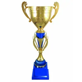 Заказать кубок с гравировкой 3096D (4) в интернет-магазине kubki-olimp.ru и cup-olimp.ru Фото 0