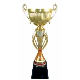 Заказать кубок с надписью 3104D (4) в интернет-магазине kubki-olimp.ru и cup-olimp.ru Фото 0