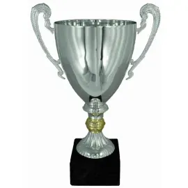 Кубок с гравировкой на заказ и cup-olimp.ru Кубок 3108E (5) в интернет-магазине kubki-olimp.ru и cup-olimp.ru Фото 0