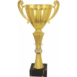 Заказать кубок с надписью в и cup-olimp.ru 3113C (3) недорого в интернет-магазине kubki-olimp.ru и cup-olimp.ru Фото 0