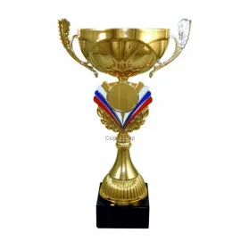 Купить подарочный кубок 4048A (1) в интернет-магазине kubki-olimp.ru и cup-olimp.ru Фото 0