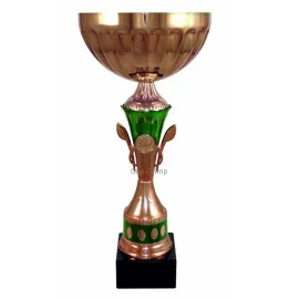 Надпись на кубке победителя соревнований 4050C (3) в интернет-магазине kubki-olimp.ru и cup-olimp.ru Фото 0