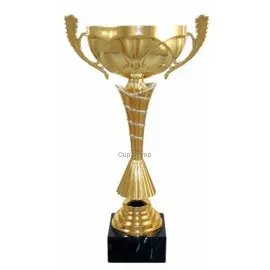 Кубок с надписью на заказ 4074F (6) в интернет-магазине kubki-olimp.ru и cup-olimp.ru Фото 0