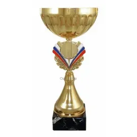 Бюджетный  Кубок 4089B (2) в интернет-магазине kubki-olimp.ru и cup-olimp.ru Фото 0