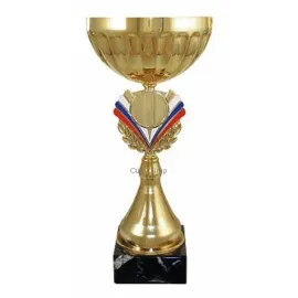 Бюджетный  Кубок 4089B (2) в интернет-магазине kubki-olimp.ru и cup-olimp.ru Фото 0