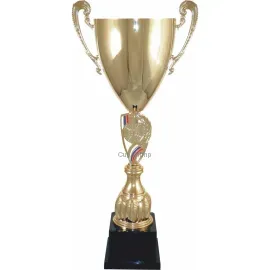 Спортивные кубки и cup-olimp.ru 3081D (4) в интернет-магазине kubki-olimp.ru и cup-olimp.ru Фото 0