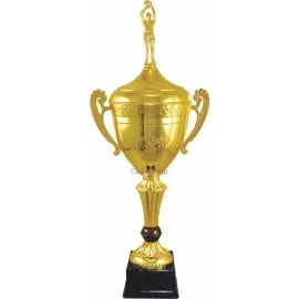 Наградные кубки и cup-olimp.ru купить РУС1104 B (2) с крышкой в интернет-магазине kubki-olimp.ru и cup-olimp.ru Фото 0