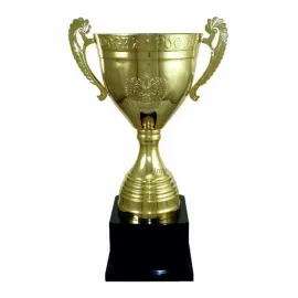 Кубки награды спортивные 1031F (6) с крышкой в интернет-магазине kubki-olimp.ru и cup-olimp.ru Фото 0