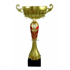 Кубок с надписью на заказ 4007B (2) в интернет-магазине kubki-olimp.ru и cup-olimp.ru Фото 0