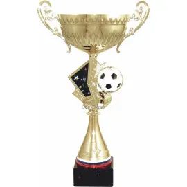 Бюджетный  Кубок 7076A (1) в интернет-магазине kubki-olimp.ru и cup-olimp.ru Фото 0