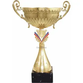 Кубок призовой 7096D (4) в интернет-магазине kubki-olimp.ru и cup-olimp.ru Фото 0