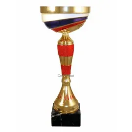 Бюджетный  Кубок РУС1122F (6) в интернет-магазине kubki-olimp.ru и cup-olimp.ru Фото 0