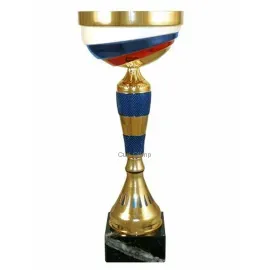 Сувенирный кубок РУС1123E (5) в интернет-магазине kubki-olimp.ru и cup-olimp.ru Фото 0