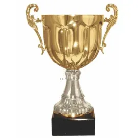 Заказать кубок с надписью в и cup-olimp.ru 8.C (3) недорого в интернет-магазине kubki-olimp.ru и cup-olimp.ru Фото 0