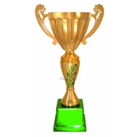 Купить подарочный кубок 3118C (3) в интернет-магазине kubki-olimp.ru и cup-olimp.ru Фото 0