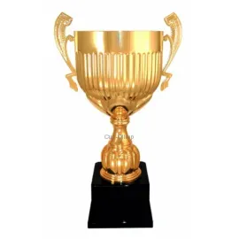 Подарочный кубок 1043 в интернет-магазине kubki-olimp.ru и cup-olimp.ru Фото 0